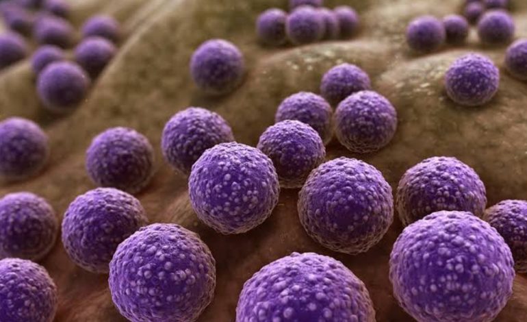 Antimicrobial resistance: What are we doing to solve the crisis?