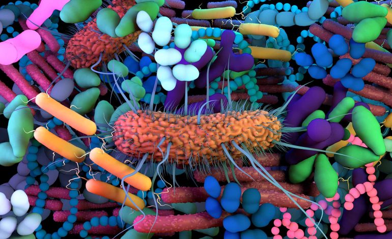Impact of early life microbial colonization and respiratory diseases on the respiratory microbiome