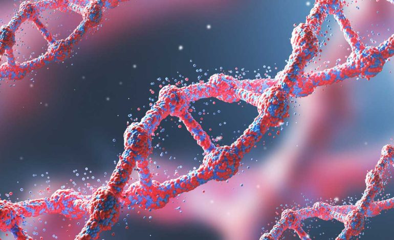 Speeding up evolution to create useful proteins wins the chemistry Nobel prize