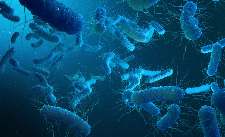 Global genomic surveillance strategy for pathogens