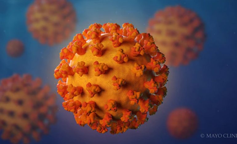 How COVID-19 Technology May Help Fight Cancer in the Near Future
