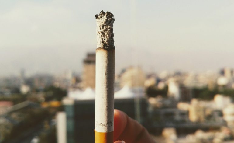World No Tobacco Day 2023: We need food, not tobacco.