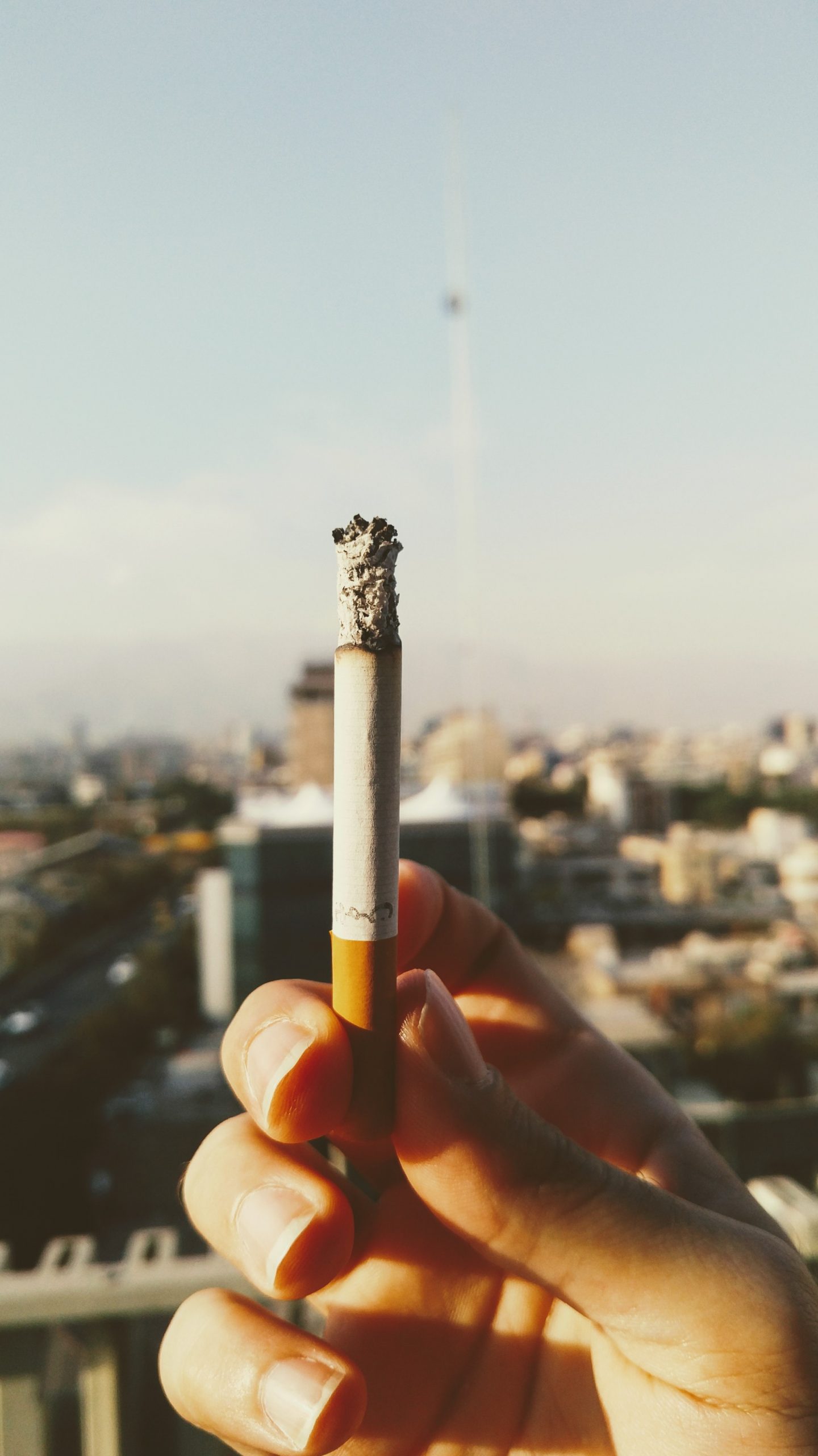 World No Tobacco Day 2023: We need food, not tobacco.