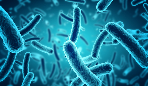World’s first living medicine that could treat drug-resistant lung infections