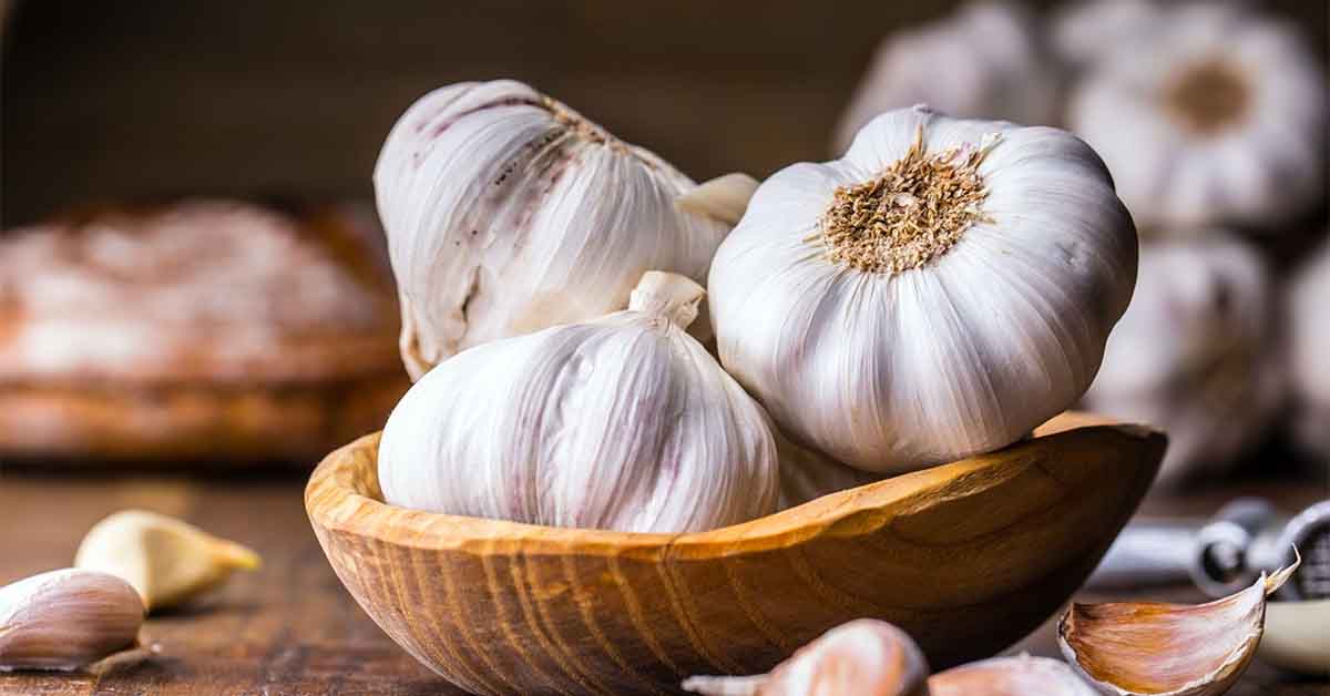 Garlic allergies more common, dangerous than suspected
