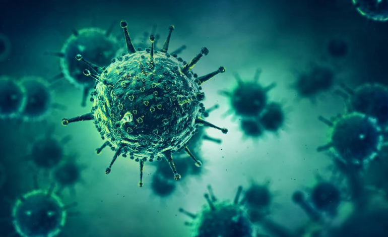 What is the link between climate change and human infectious disease?