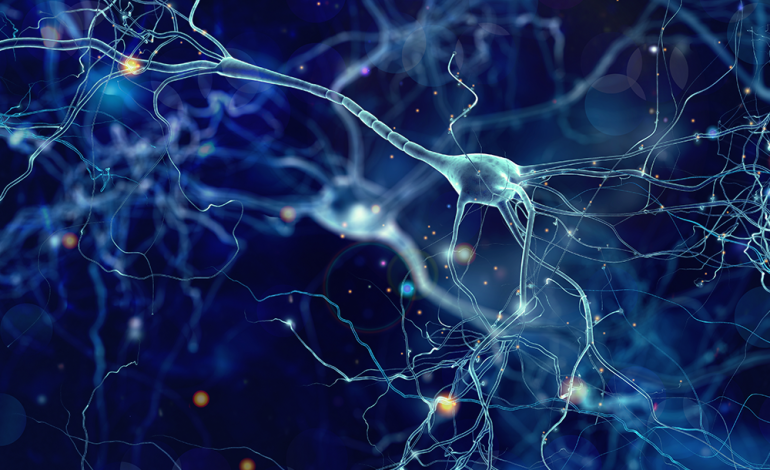 Neuro Ophthalmology: How the Brain Affects Your Vision