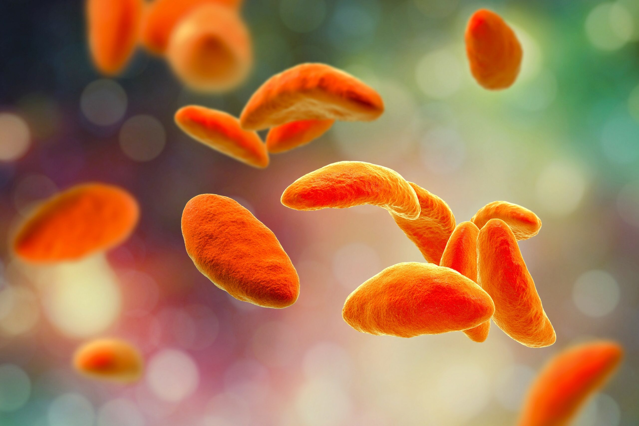Why losing parasites could have devastating effects on our ecosystem
