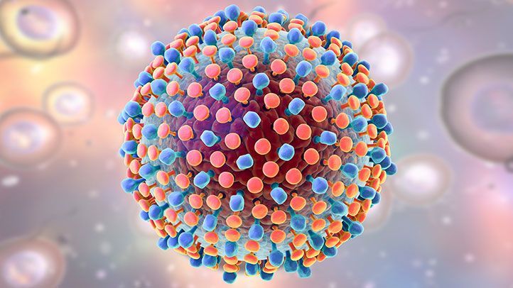 Hepatitis C Virus(HCV) and Human T-cell Lymphotropic Virus Coinfection: A Complex Interaction