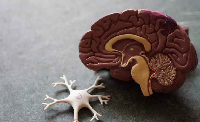 Gum disease may increase the risk of Alzheimer’s.