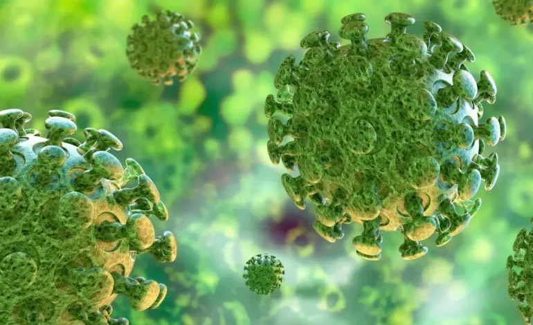West Bengal Registers Sharp Spike in Adenovirus Cases; State on High Alert