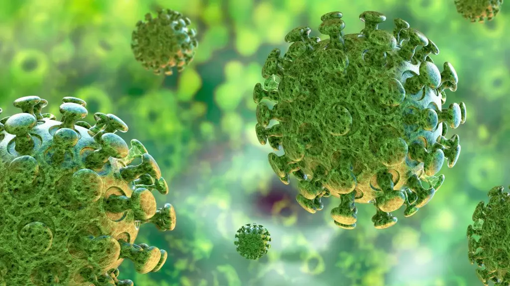 West Bengal Registers Sharp Spike in Adenovirus Cases; State on High Alert