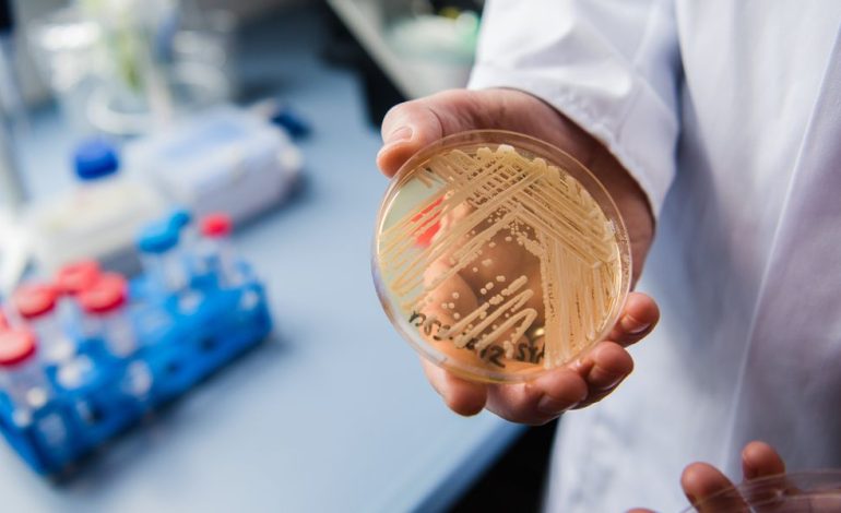 CDC warns rise of deadly drug-resistant fungus Candida auris threat in hospitals