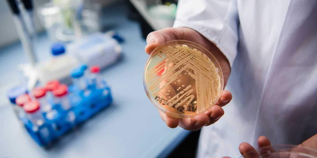 CDC warns rise of deadly drug-resistant fungus Candida auris threat in hospitals