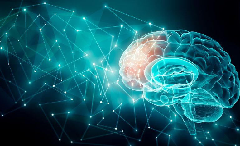 Digital Twin Approaches Enabled by advanced Brain Modelling Advances