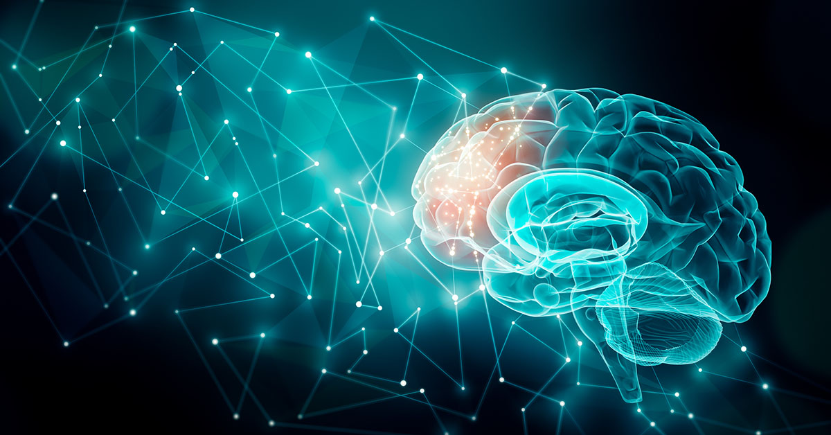 Digital Twin Approaches Enabled by advanced Brain Modelling Advances