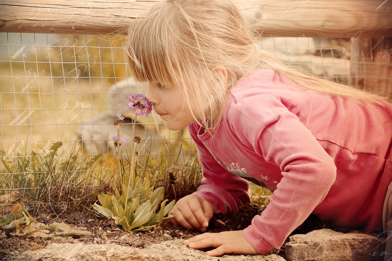 How Your Sense of Smell Predicts Your Overall Health