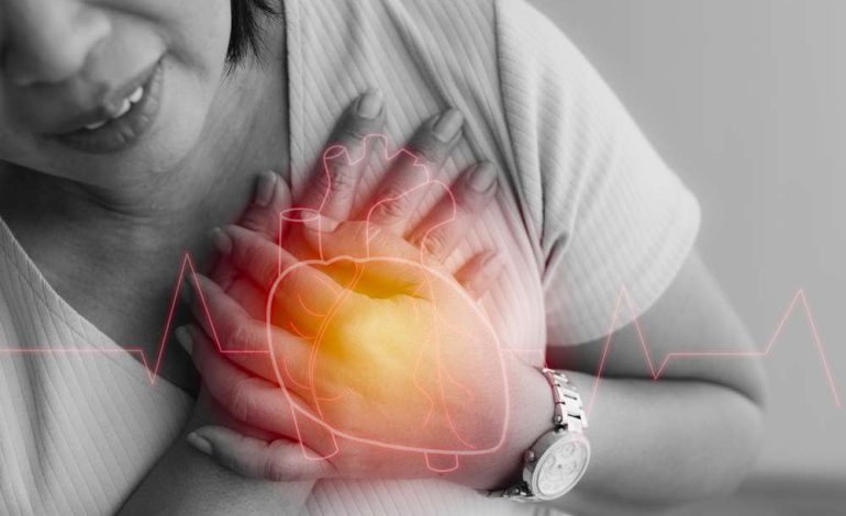 The Relationship Between Meat Consumption and the Risk of Ischemic Heart Disease