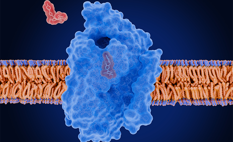 Safety and effectiveness of sodium–glucose cotransporter-2 inhibitors and angiotensin receptor-neprilysin inhibitor for patients with heart failure with reduced ejection fraction