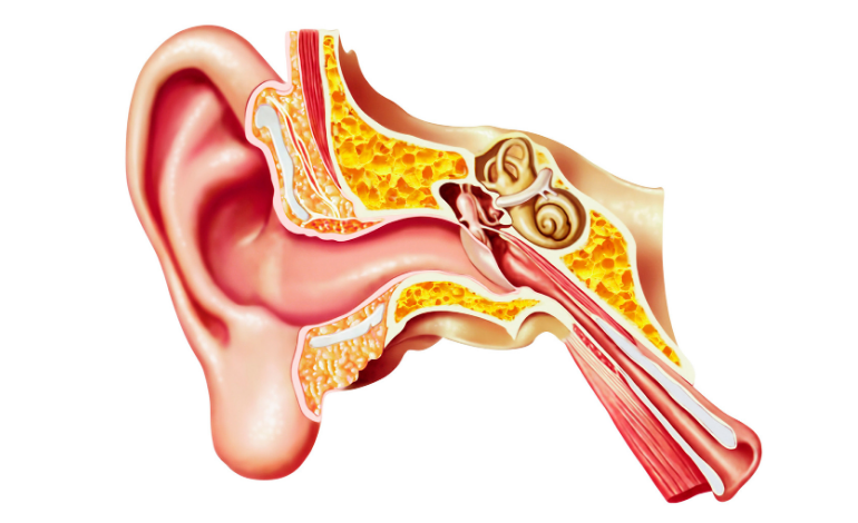 Effectiveness of PPI Therapy in Eustachian Tube Dysfunction Associated with Laryngopharyngeal Reflux