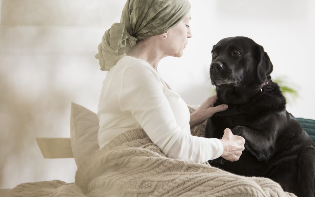 Dogs can detect cancer at an early stage