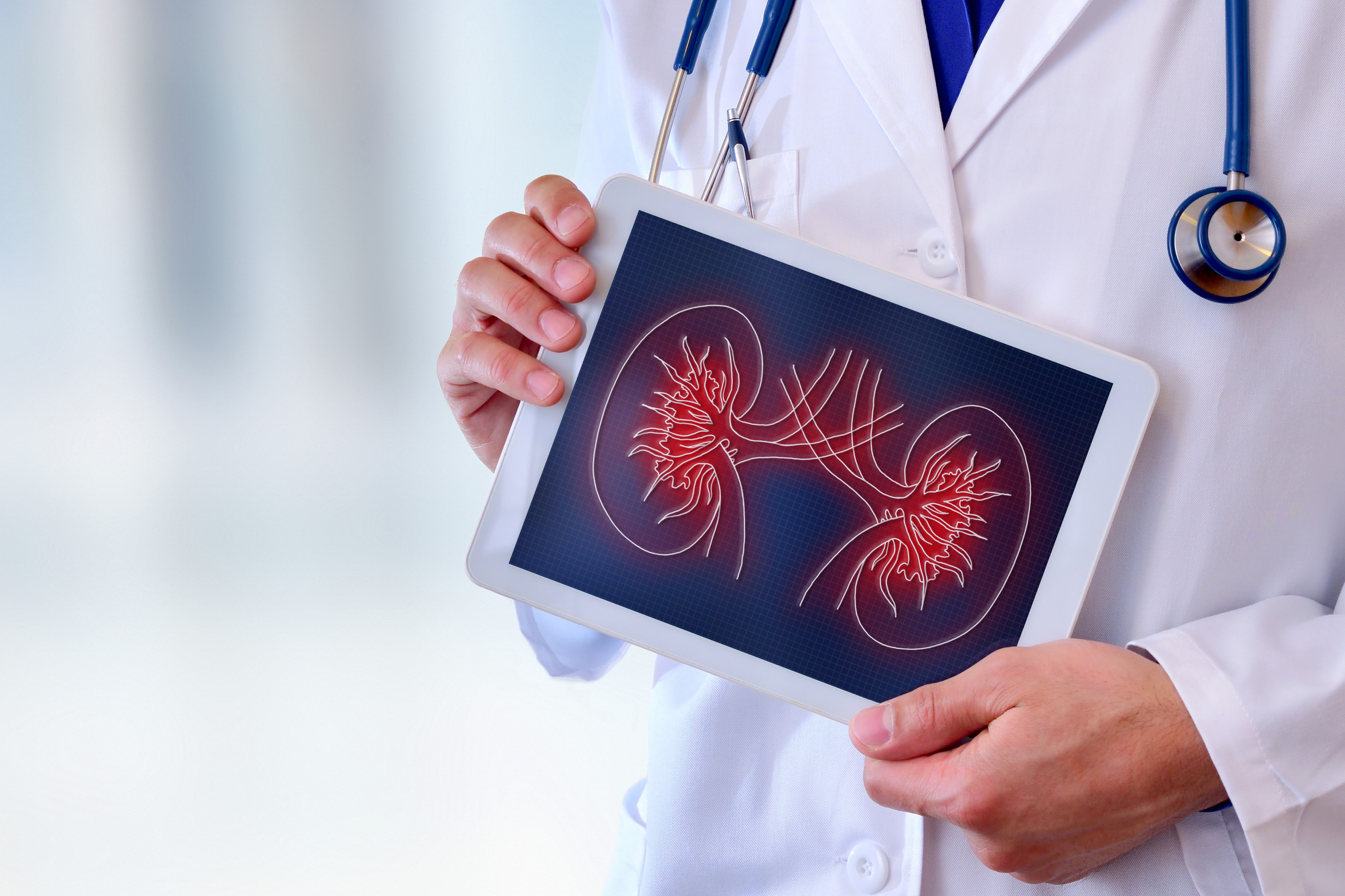 World Kidney Day- Prevention of Chronic Kidney Diseases