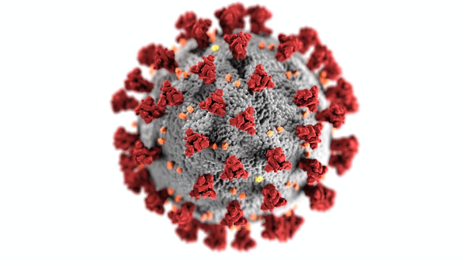 Pandemics strengthen links between viruses and autoimmunity