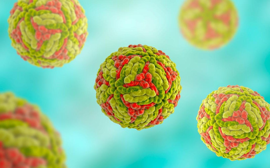 Japanese encephalitis virus is spreading in Australia