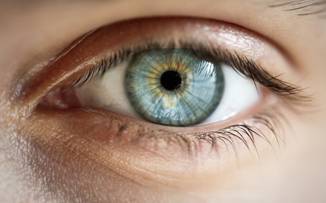Managing vitreo-retina and uvea practice in post-COVID-19