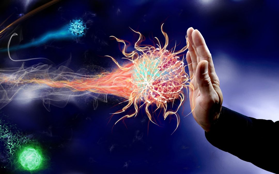 How to Keep Your Immune System Healthy
