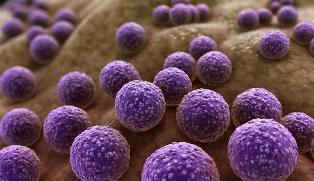 Antimicrobial resistance: What are we doing to solve the crisis?