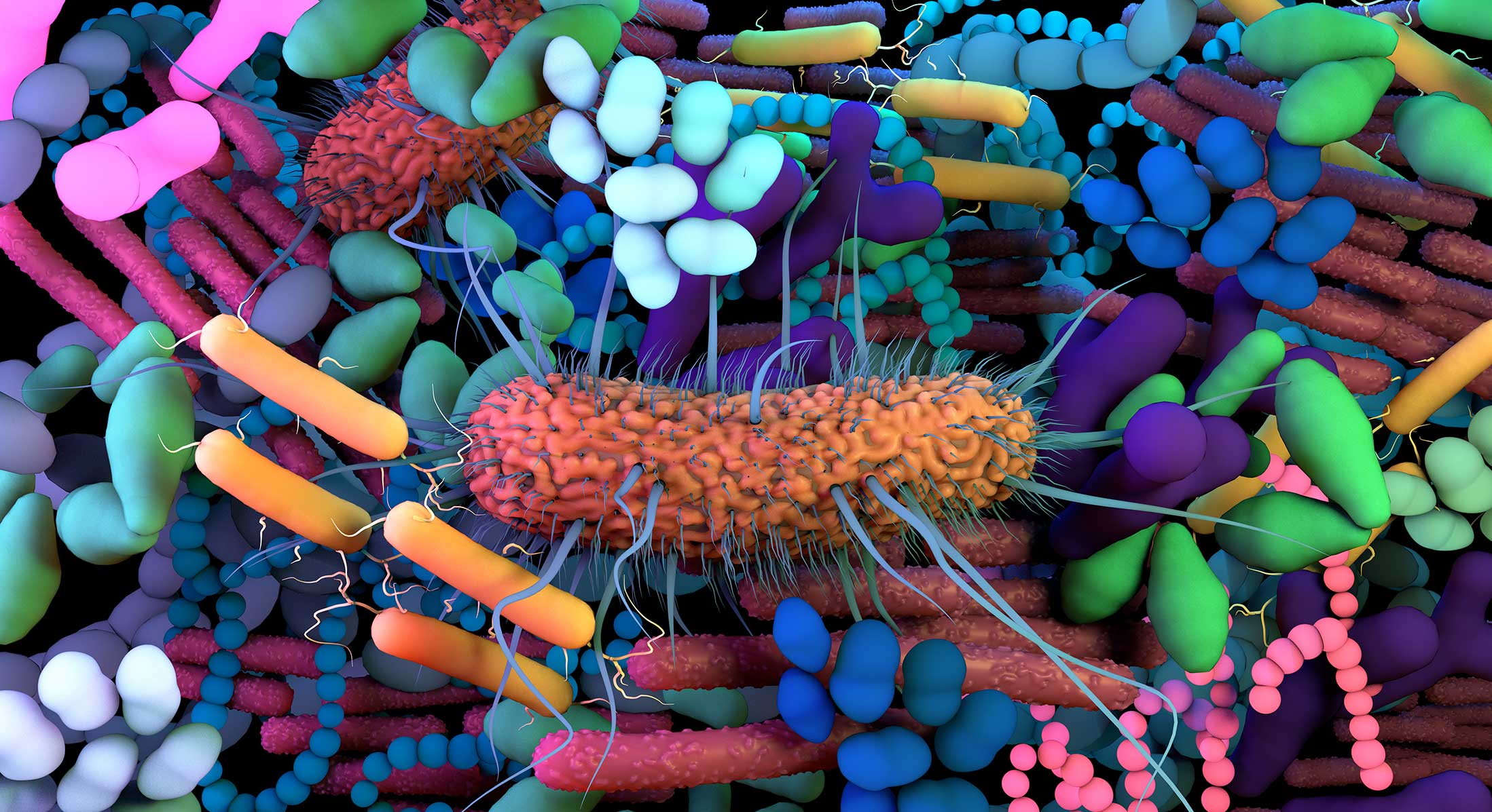 Impact of early life microbial colonization and respiratory diseases on the respiratory microbiome