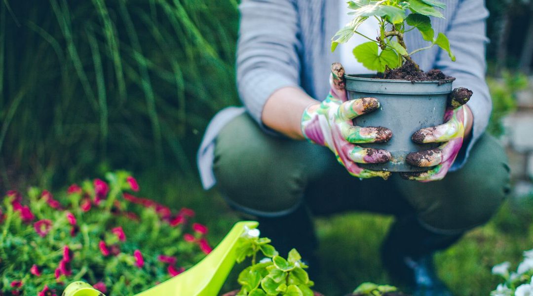 Gardening May Help Reduce Cancer Risk and Boost Mental Health