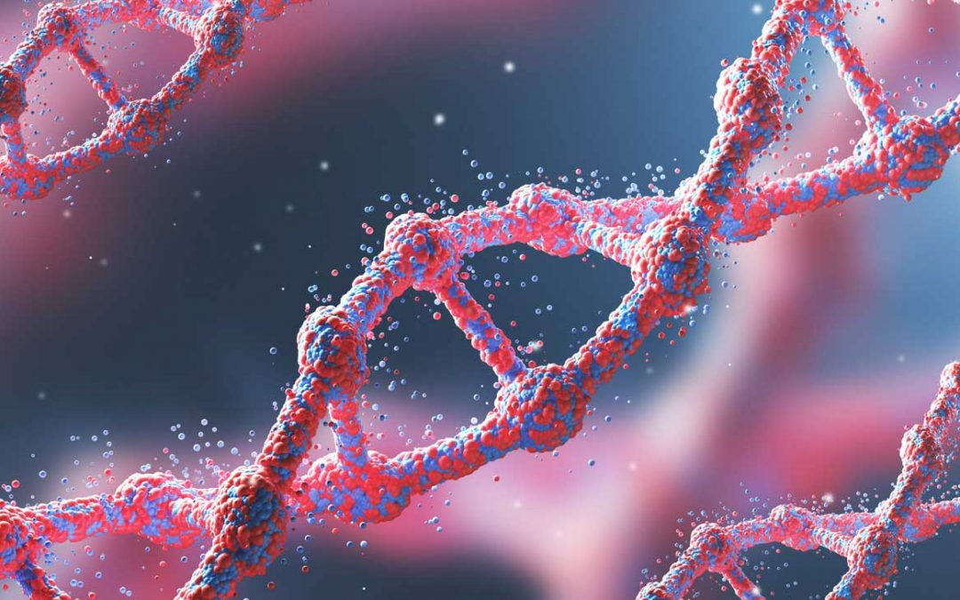 Speeding up evolution to create useful proteins wins the chemistry Nobel prize