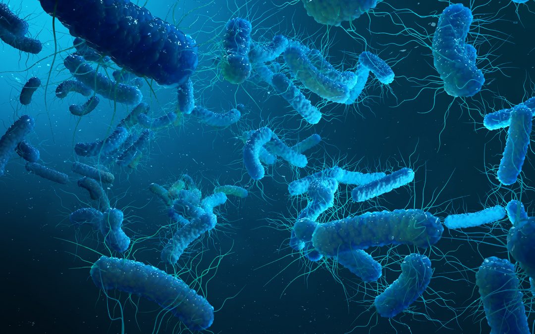 Global genomic surveillance strategy for pathogens