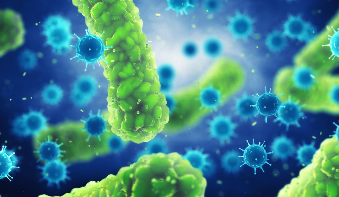 Measuring the cost-effectiveness of vaccines targeting infectious diseases