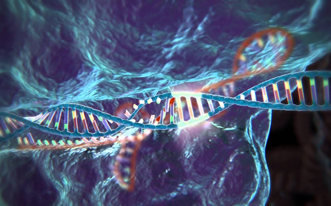 Innovation in Pharmaceuticals: CRISPR Gene editing