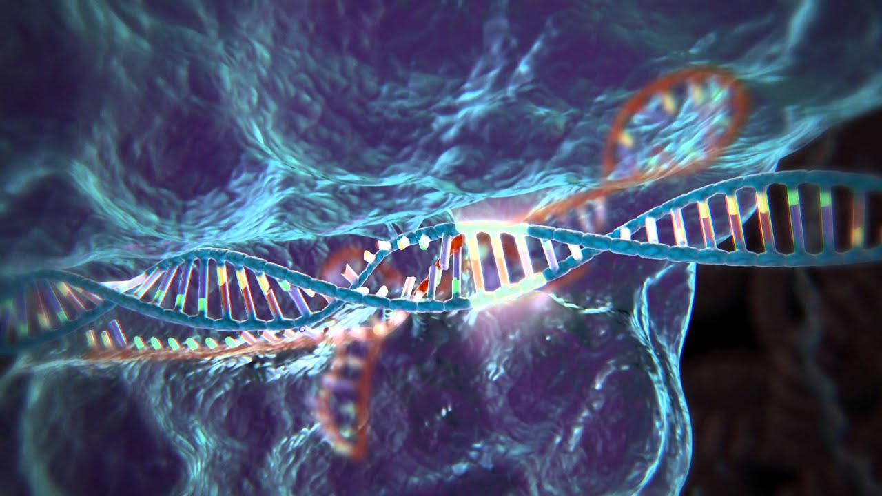 Innovation in Pharmaceuticals: CRISPR Gene editing