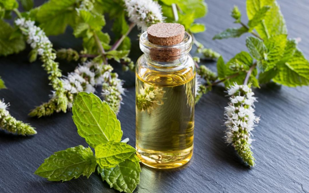 Essential oils for allergies: a viable treatment