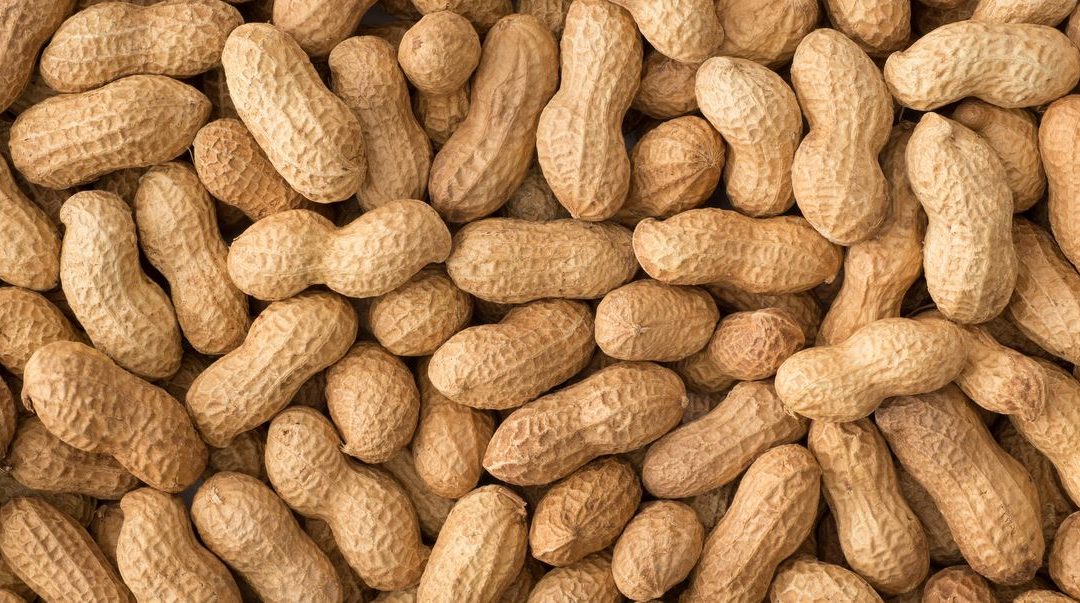 How to Help Pediatricians Apply Peanut Allergy Guidelines