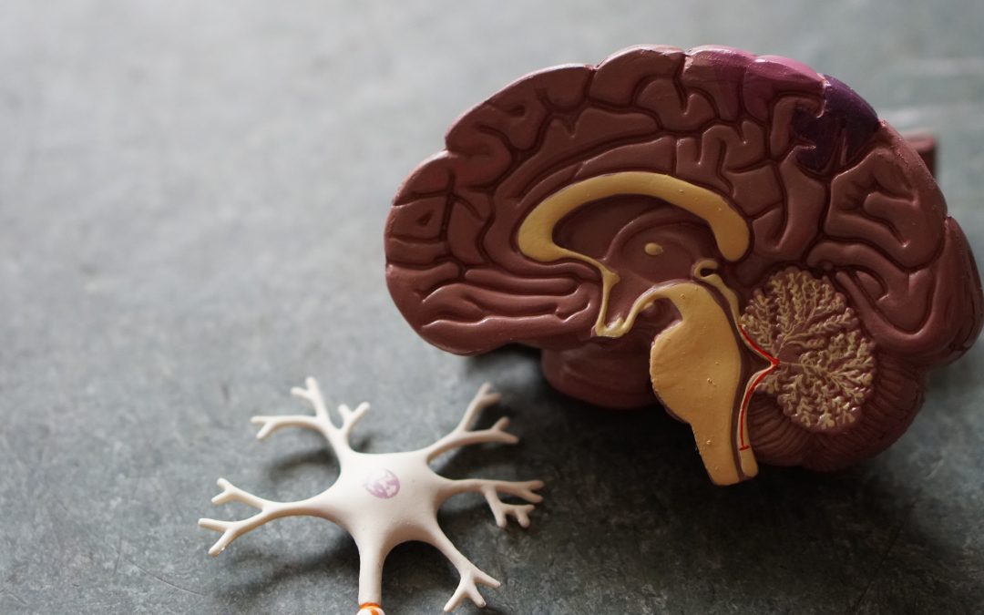 Gum disease may increase the risk of Alzheimer’s.