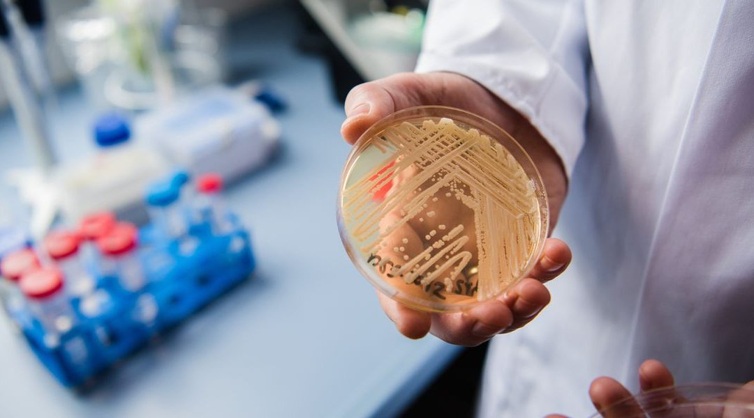 CDC warns rise of deadly drug-resistant fungus Candida auris threat in hospitals