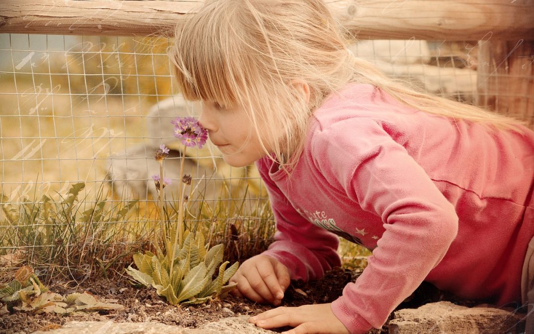 How Your Sense of Smell Predicts Your Overall Health