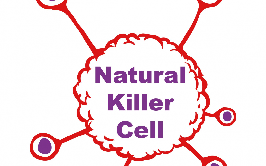 Natural Killer Cells: Potential Role in Reducing Neuropathic Pain through Neuronal Pruning