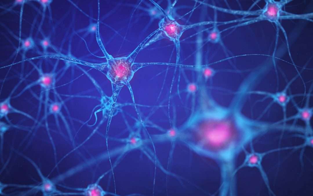 Neuroscience News Breakthroughs – June 18, 2023