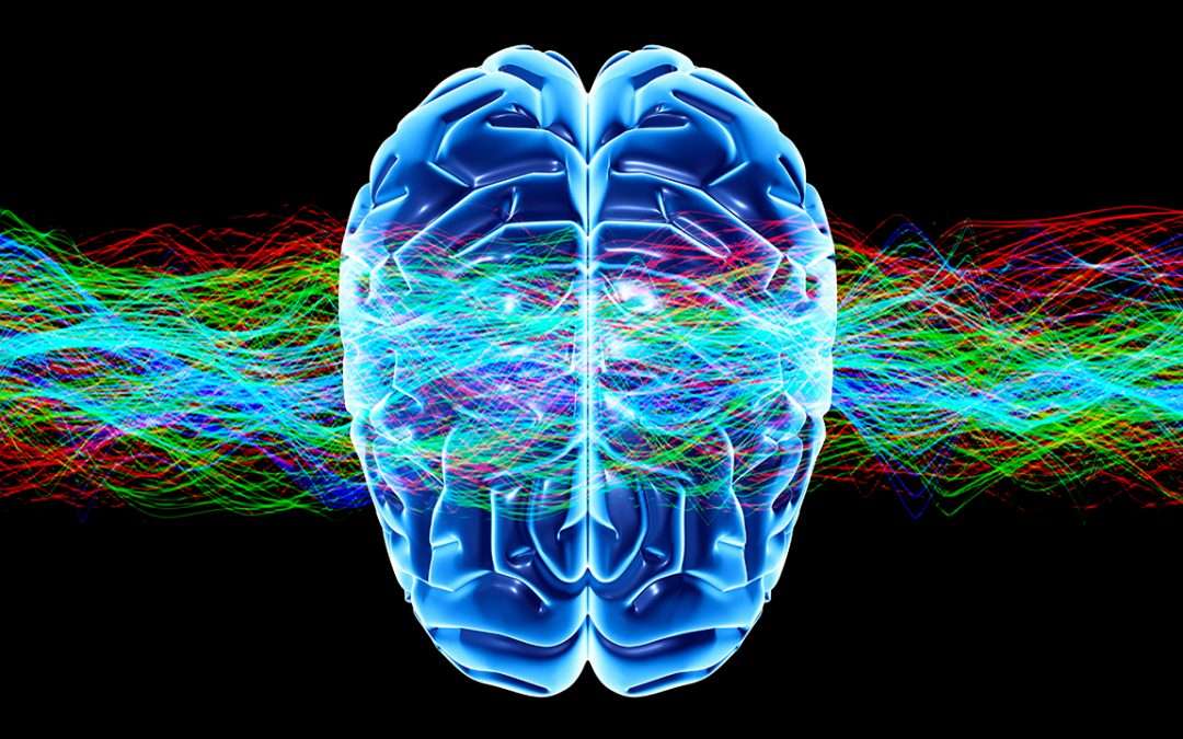 Importance of Education in Clinical Examination before Deep Brain Stimulation – Nasrin Esnaashari