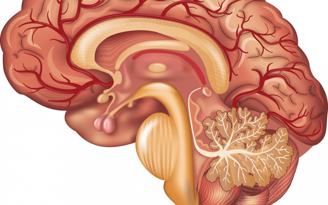 Hearing aids lower risk of dementia in midlife and beyond: study